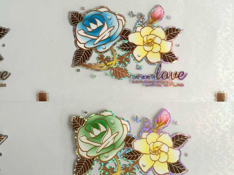 愛(ài)普生l850打印機(jī)能不能熱轉(zhuǎn)印？